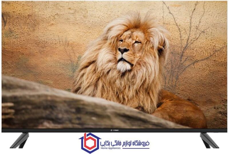 تلویزیون هوشمند اسنوا