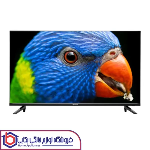 قیمت تلویزیون Full HD اسنوا سایز 43 اینچ SLD-43NY13600M