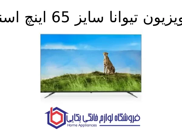 تلویزیون تیوانا سایز 65 اینچ اسنوا