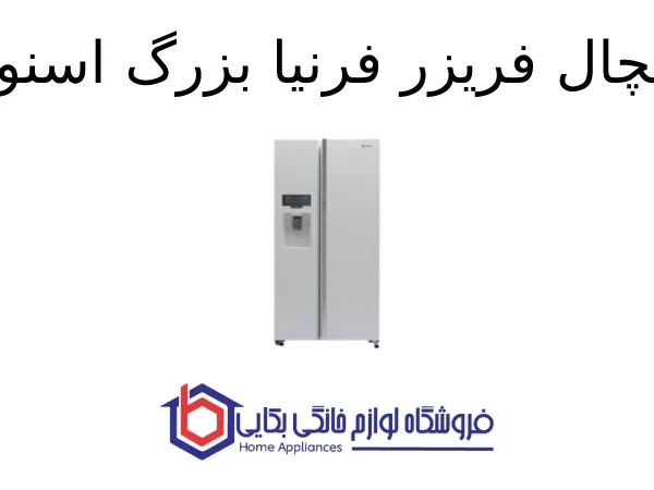 یخچال فریزر فرنیا بزرگ اسنوا